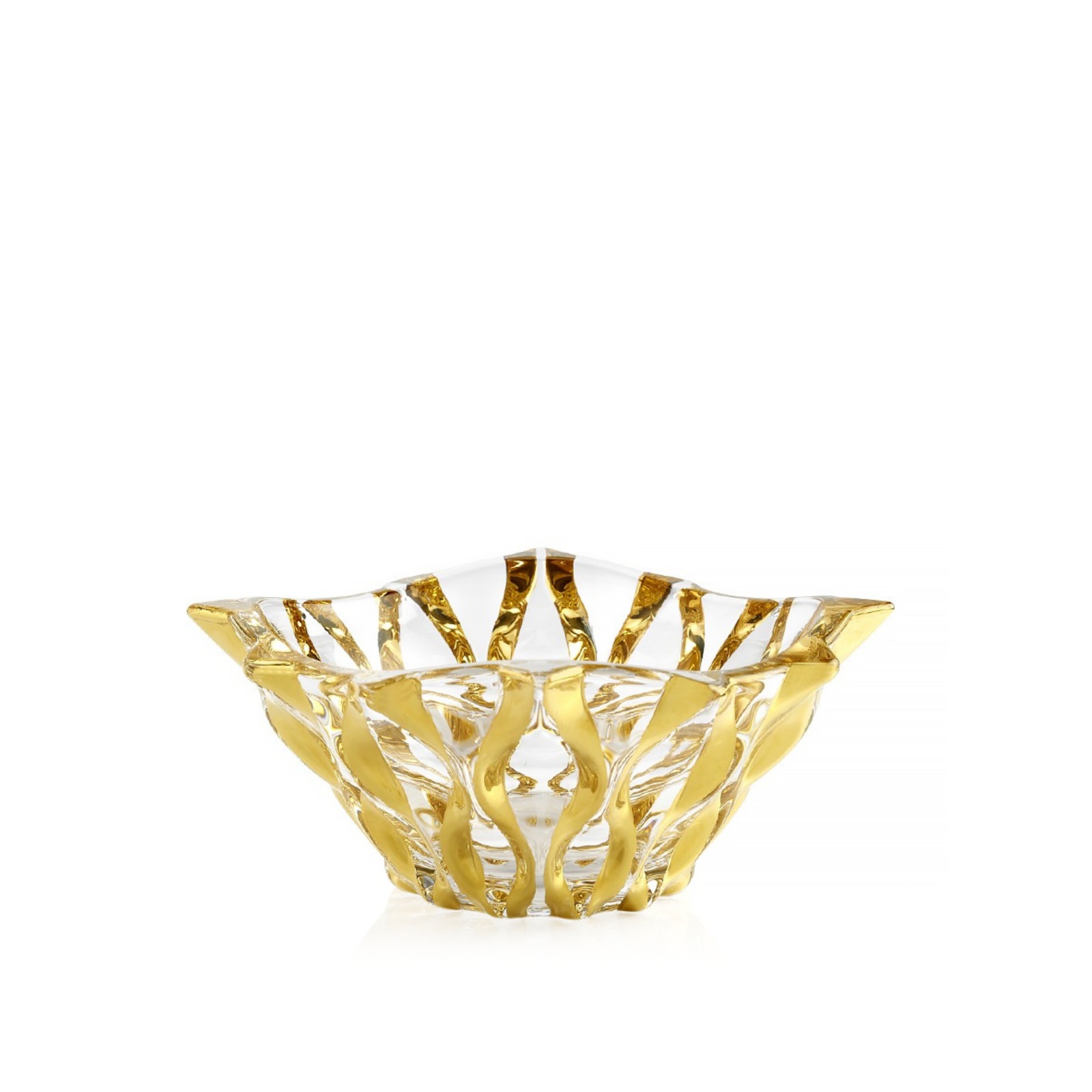 WhatsApp Image 2025-12-25 at 11.08.56 AM (1)